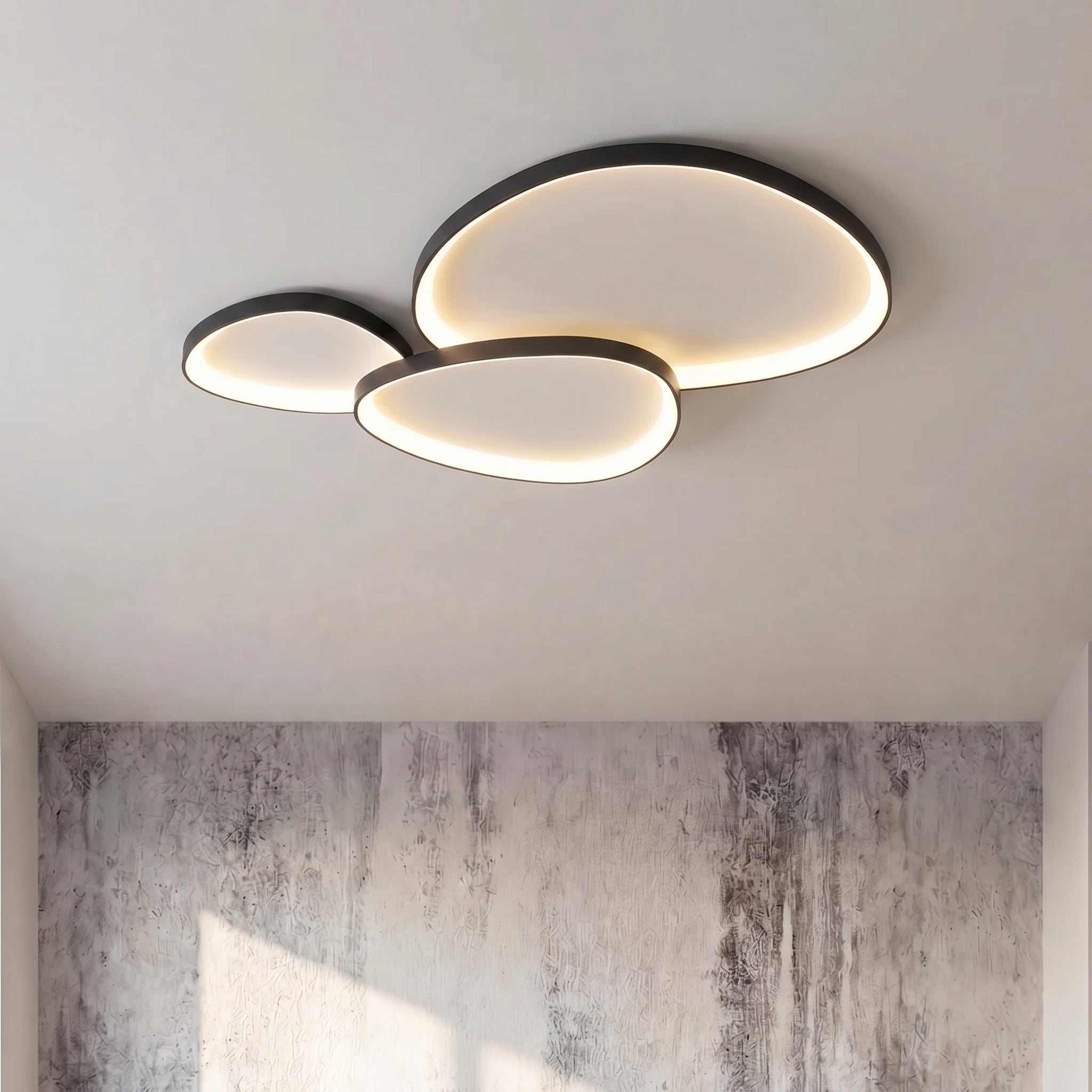 Armure Black Ceiling Light With Remote Dimmer