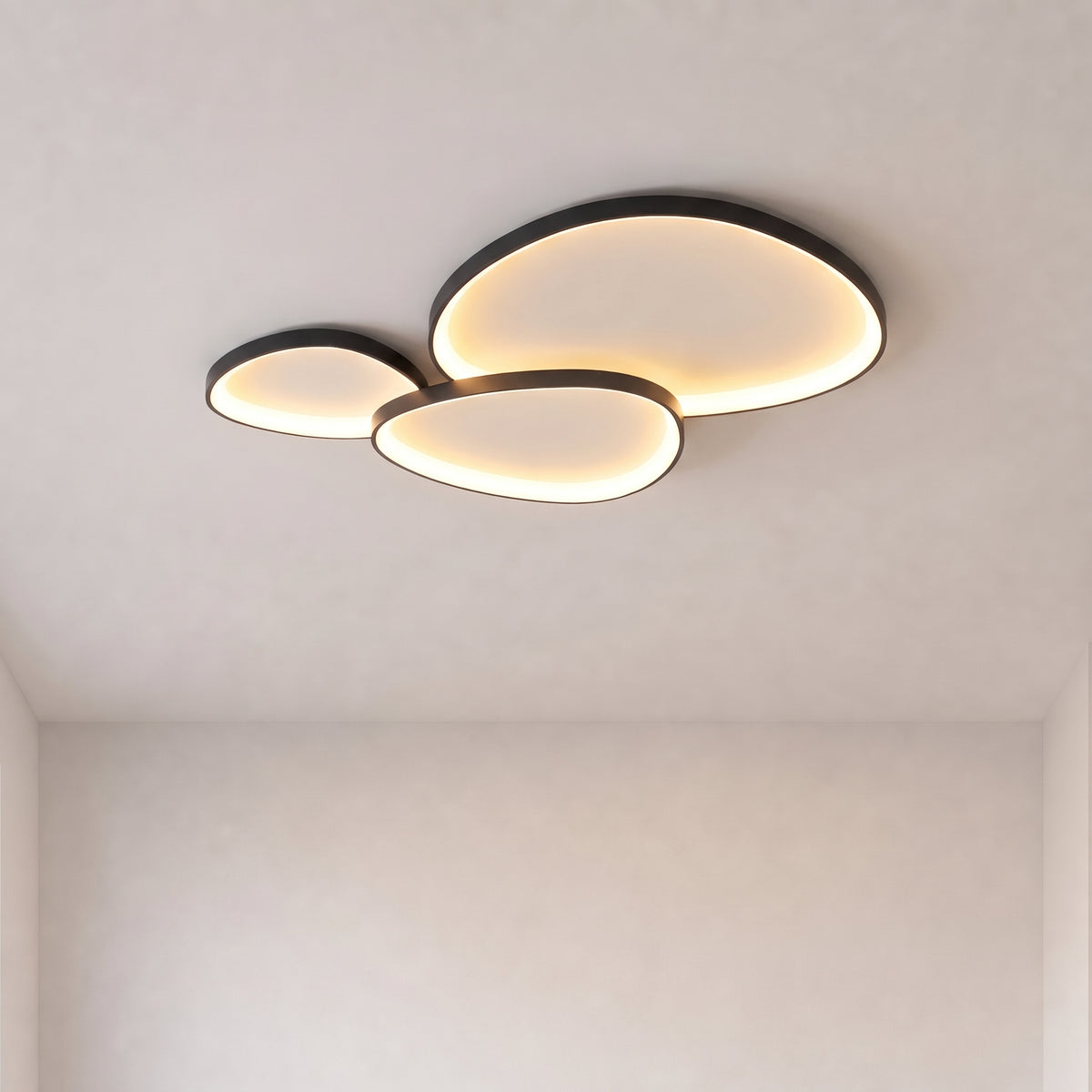 Armure Black Ceiling Light With Remote Dimmer
