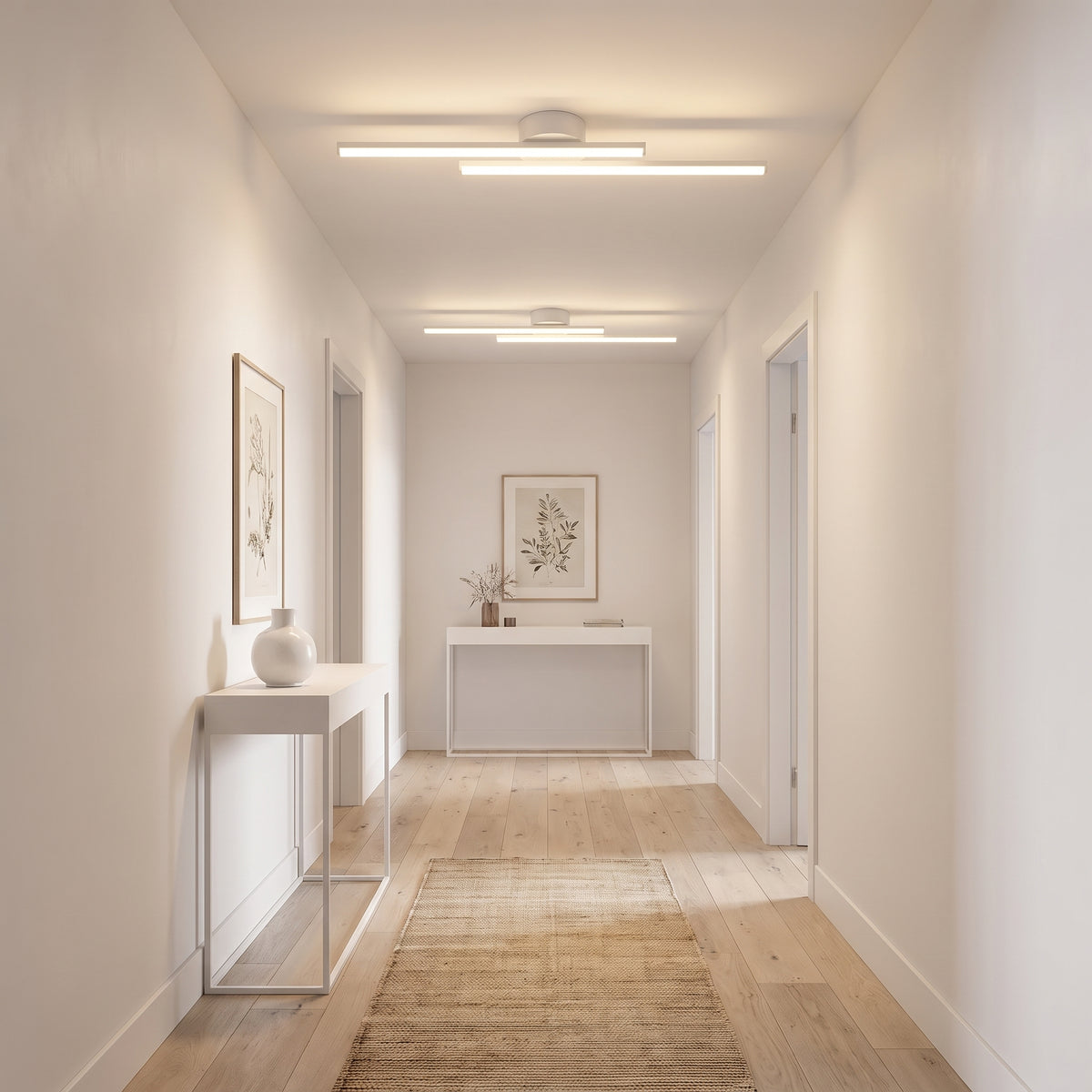 Aisle Ceiling Light With Remote Dimmer