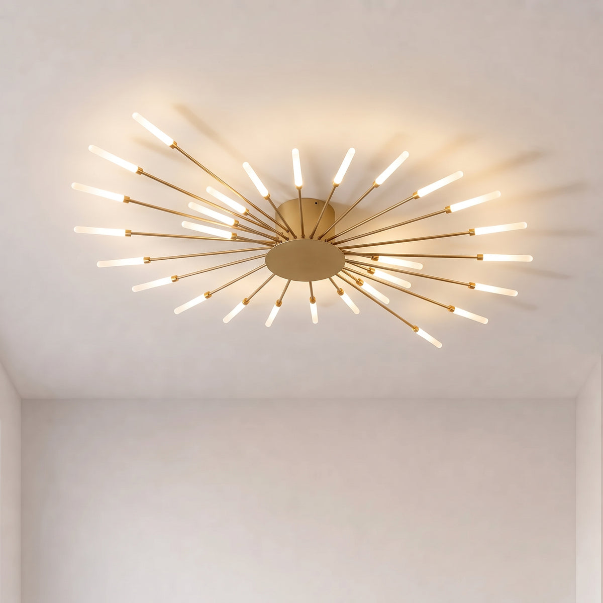Firework Ceiling Light With Remote Dimmer