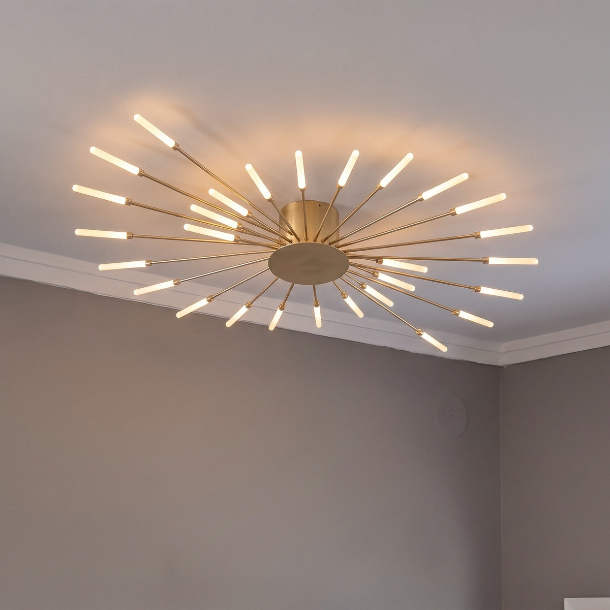 Firework Ceiling Light With Remote Dimmer