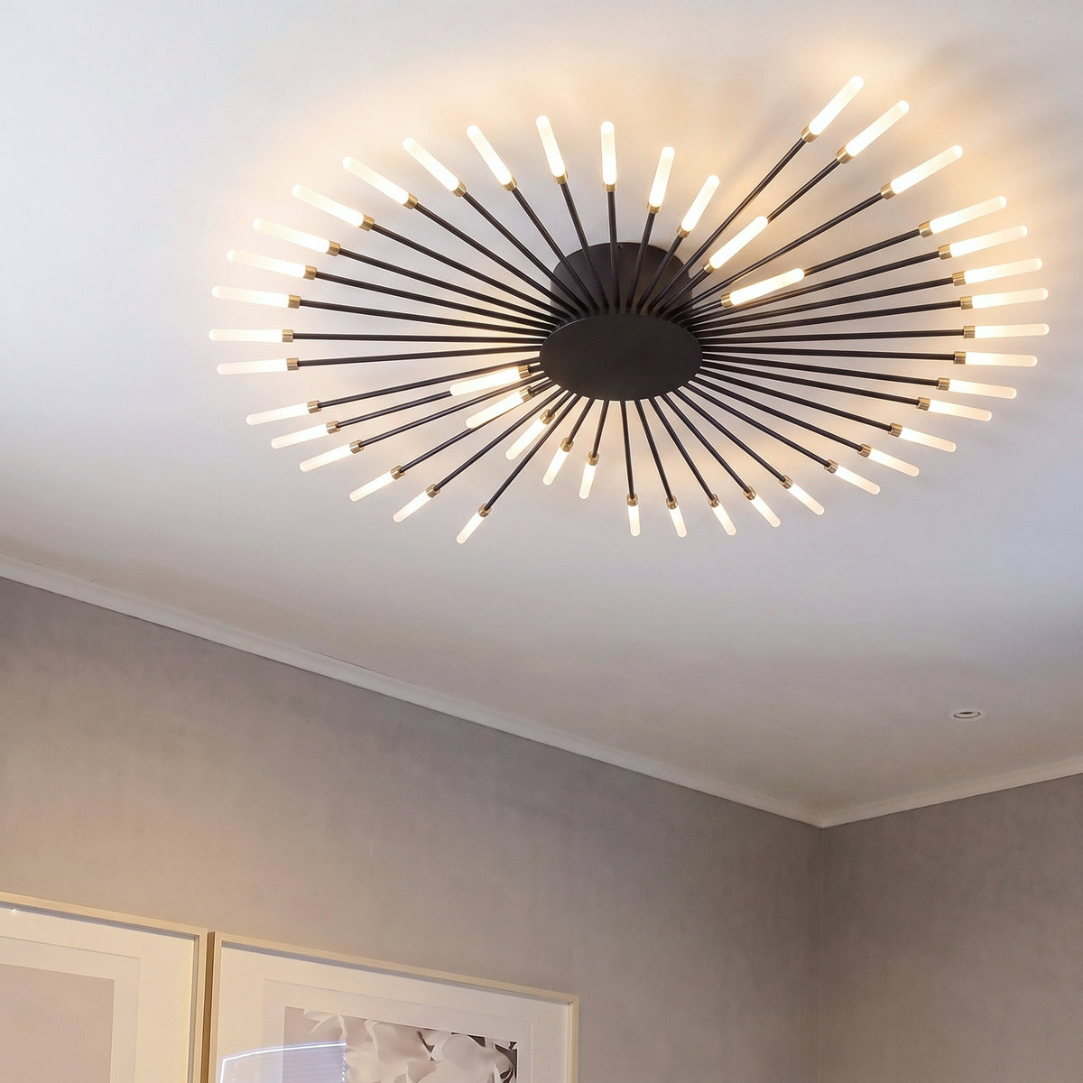 Firework Ceiling Light With Remote Dimmer