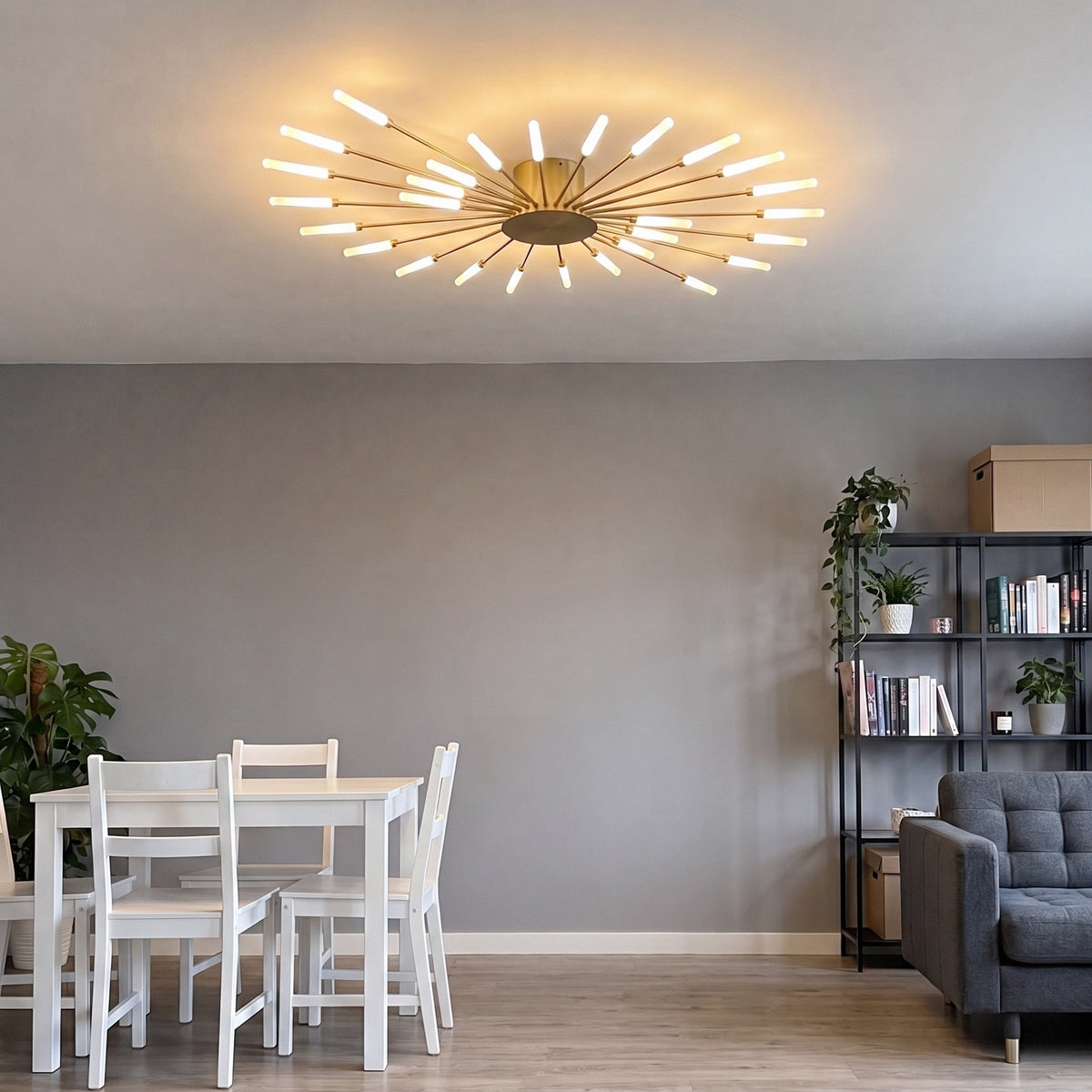 Firework Ceiling Light With Remote Dimmer