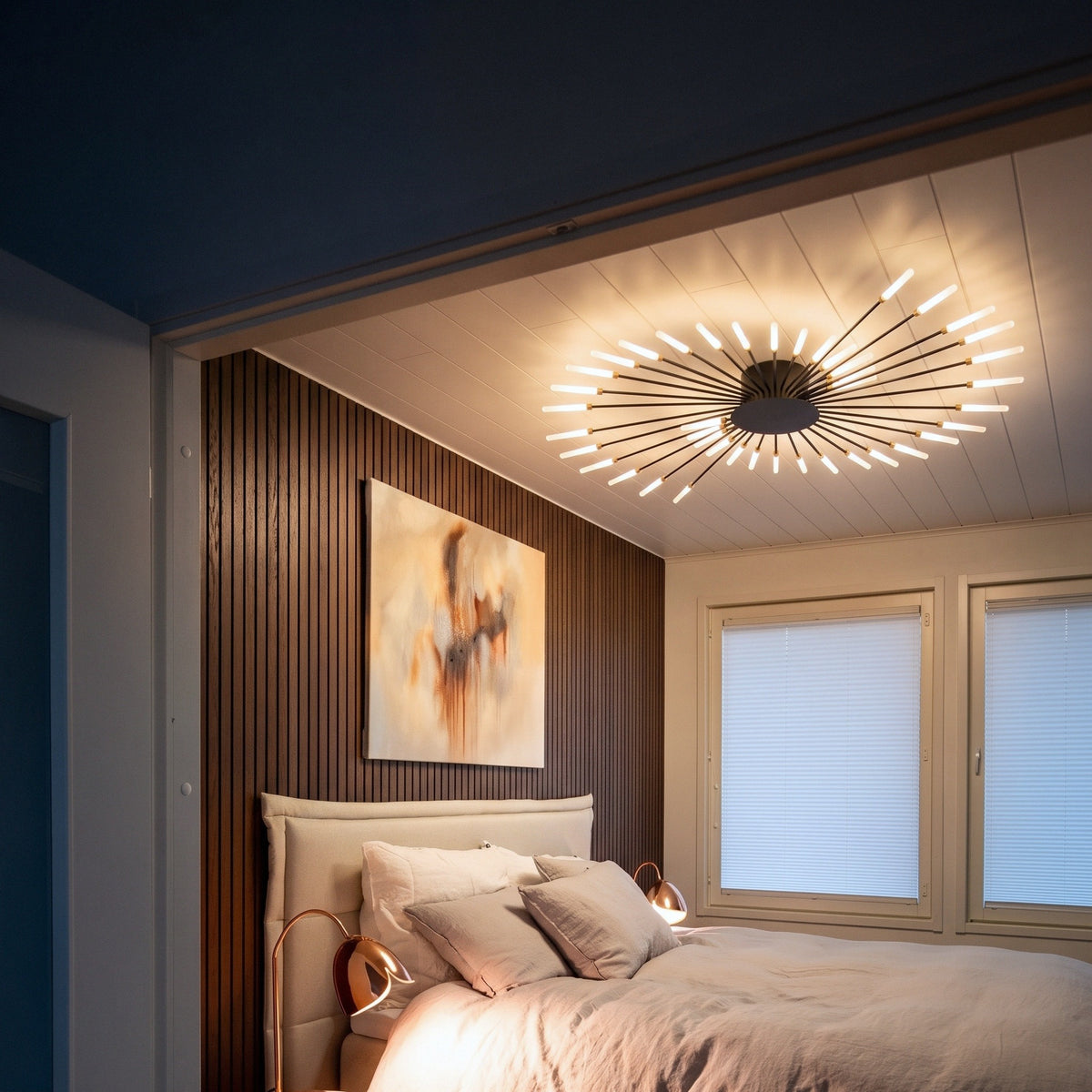 Firework Ceiling Light With Remote Dimmer