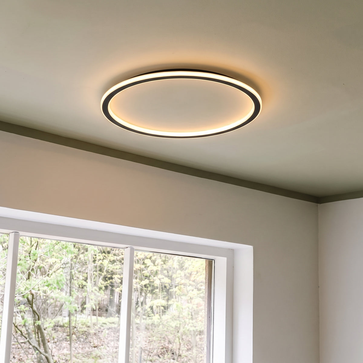 Black Round Ceiling Light With Remote Dimmer