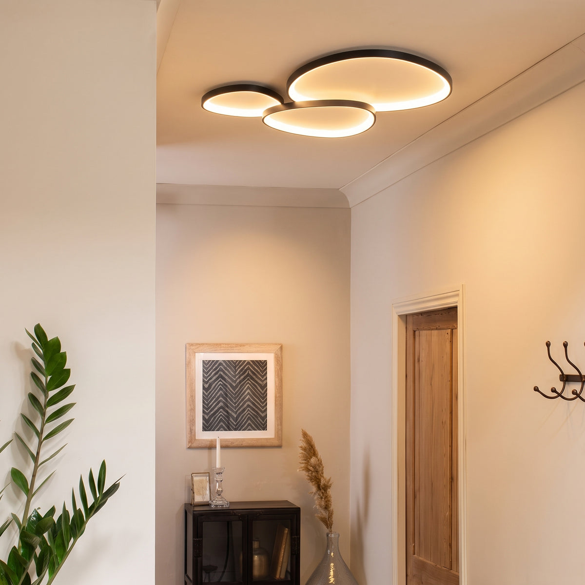 Armure Black Ceiling Light With Remote Dimmer