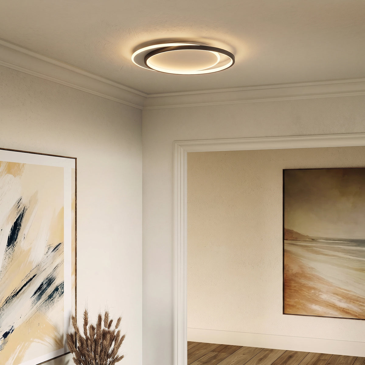Double Ring Black Ceiling Light With Remote Dimmer