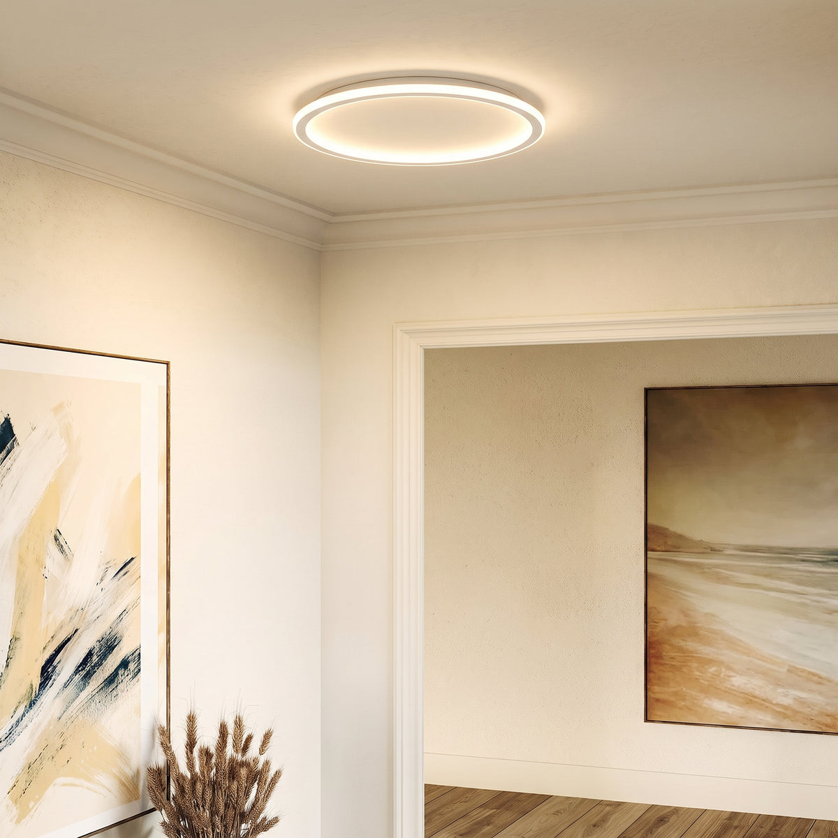 White Round Ceiling Light With Remote Dimmer
