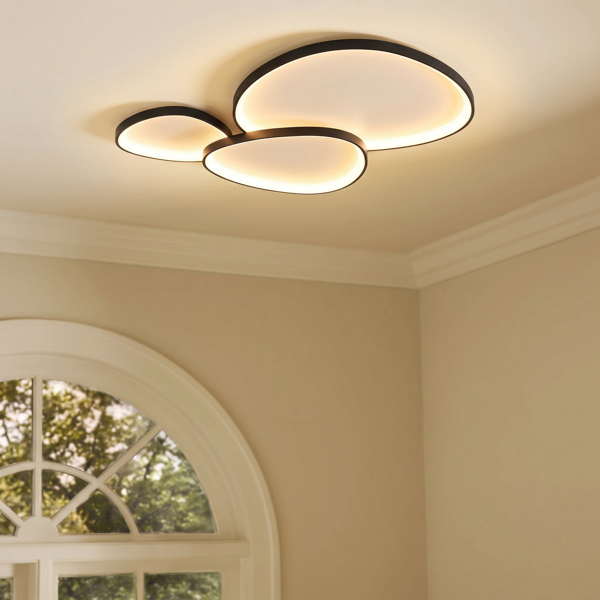 Armure Black Ceiling Light With Remote Dimmer